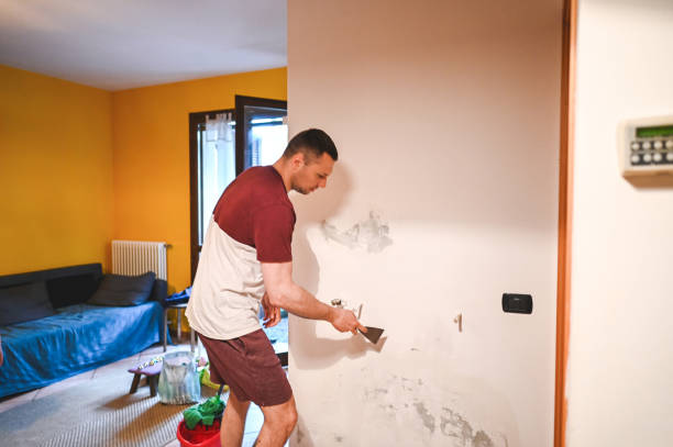 Best Mold Removal Company Near Me  in Riley, KS